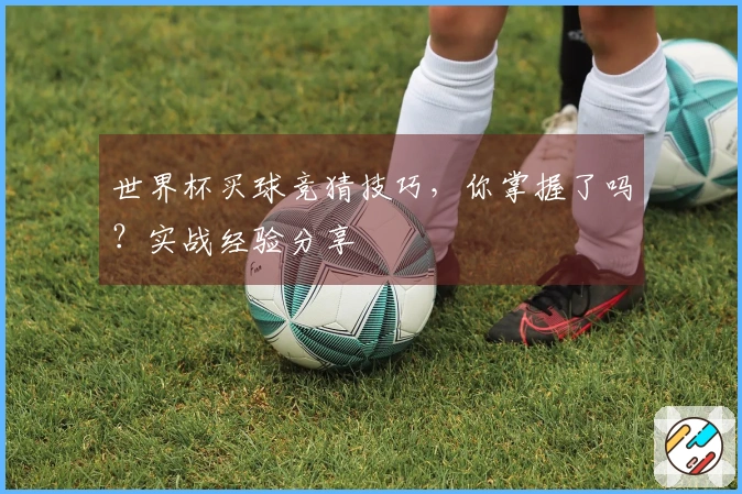 世界杯买球竞猜技巧，你掌握了吗？实战经验分享