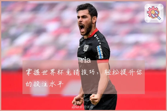 掌握世界杯竞猜技巧，轻松提升你的投注水平