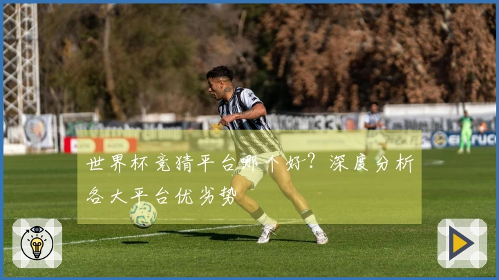 世界杯竞猜平台哪个好？深度分析各大平台优劣势