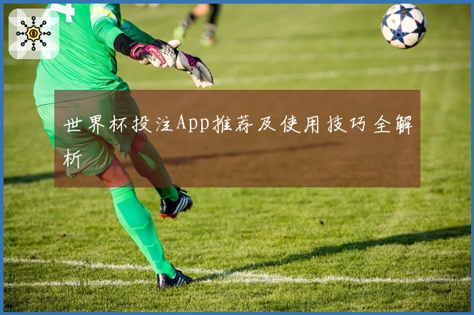世界杯投注App推荐及使用技巧全解析