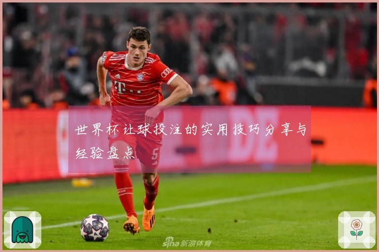 世界杯让球投注的实用技巧分享与经验盘点