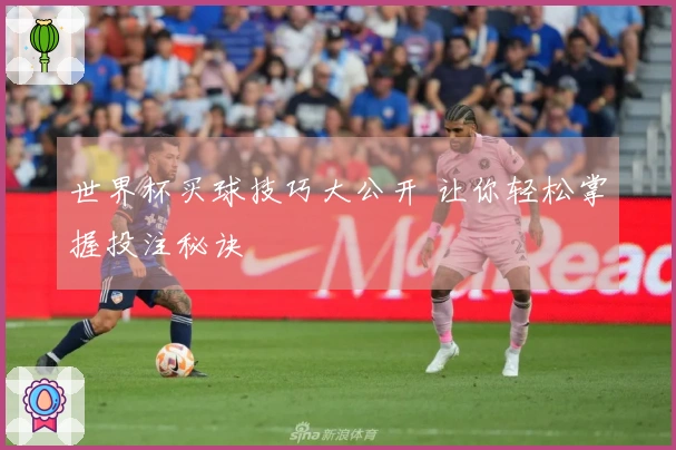世界杯买球技巧大公开 让你轻松掌握投注秘诀