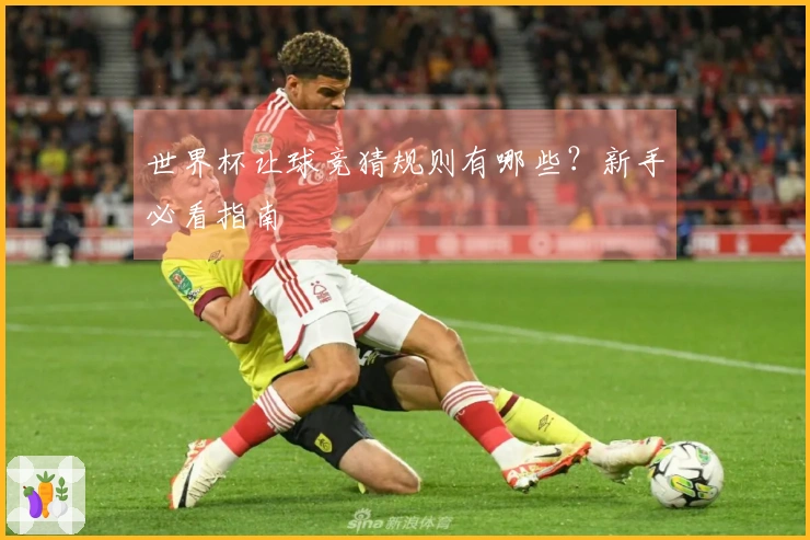 世界杯让球竞猜规则有哪些？新手必看指南