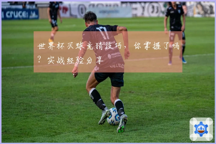 世界杯买球竞猜技巧，你掌握了吗？实战经验分享