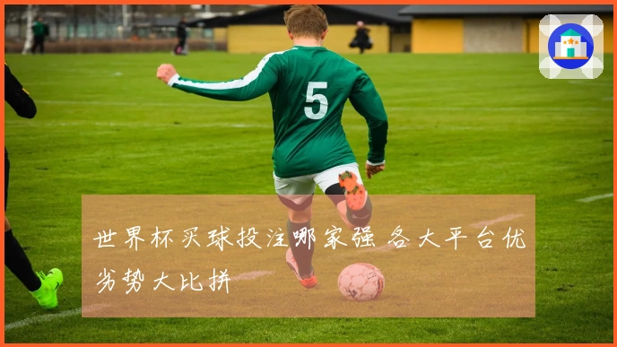 世界杯买球投注哪家强 各大平台优劣势大比拼